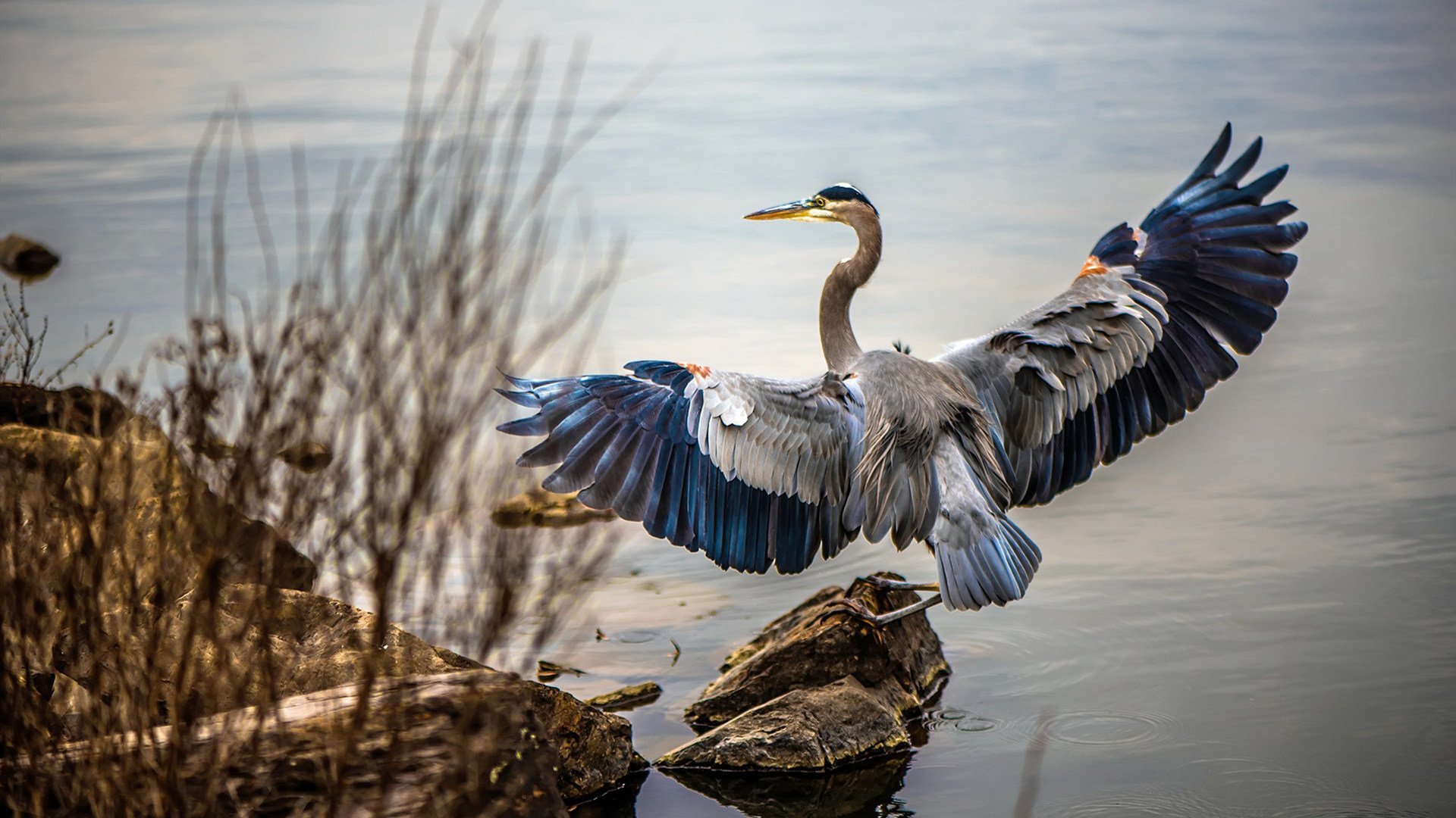 体育新闻中心发布运动表现数据智能分析系统，体育运动 新闻