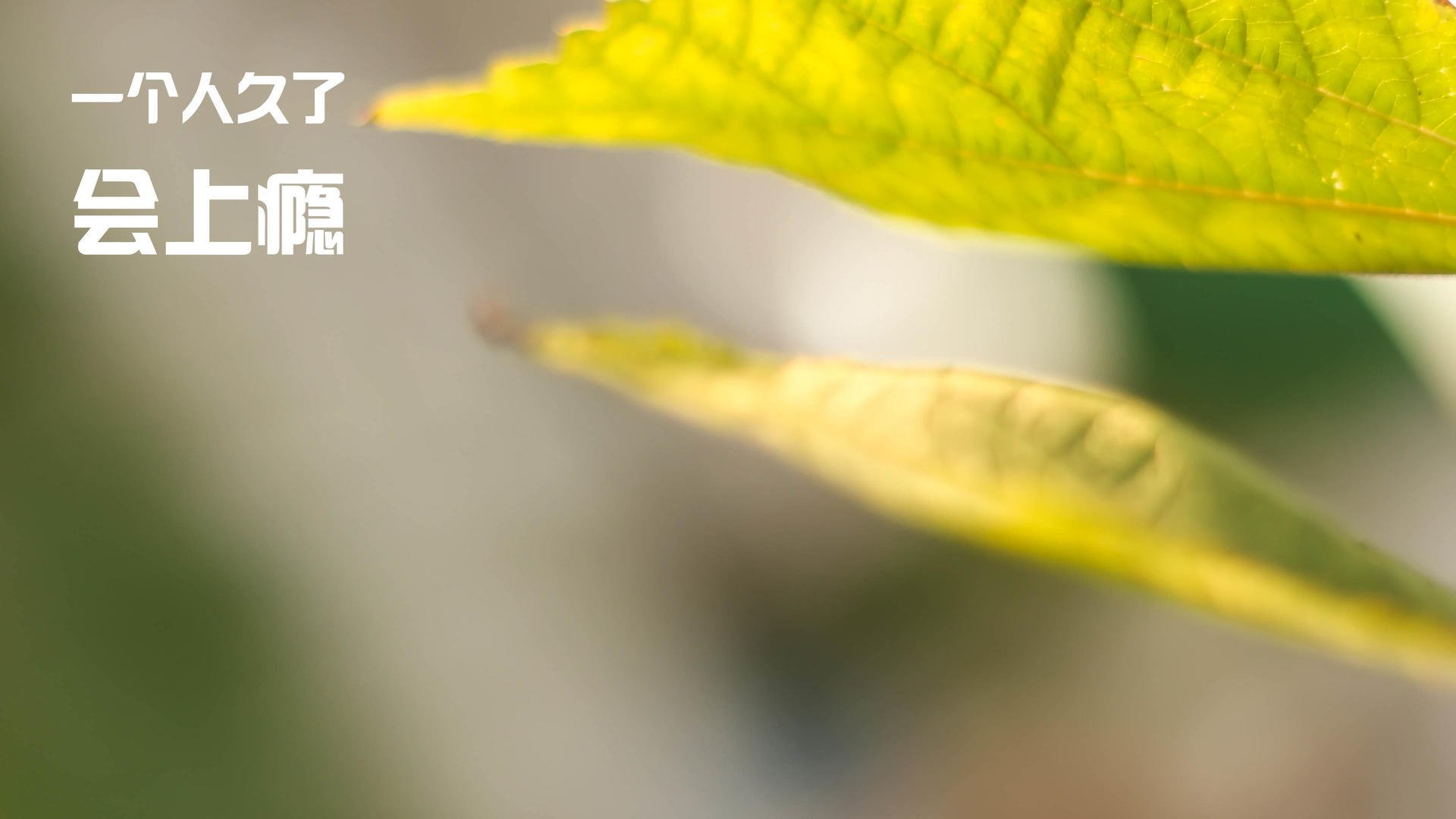 CBA加强赛场规则宣传提升比赛规范执行力，cba规章制度