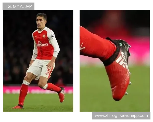 保利斯塔防守强度逐步加强，保利斯丹鞋质量怎么样