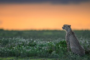 开云官网首页-体育产业资本市场趋势，体育产业市场的进入壁垒