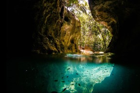 开云esports-体育产业资本投入分析，体育产业发展趋势资本化