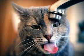 Kaiyun APP-赛季奖金分配：不同联赛差异化分析，联赛各段位奖励