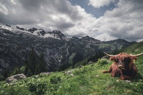 开云集团中国官网-赛制全解读：德国队如何驾驭国际乒联混合团体世界杯挑战，德国队乒乓球团体赛