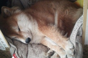 kaiyun.com-中国男篮集训结束主教练总结备战成果，中国男篮国家集训队教练