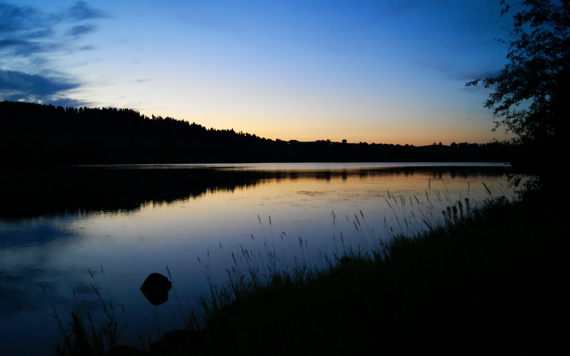 加拿大队未来目标:如何在世界级赛事中冲击奖牌,加拿大参赛选手