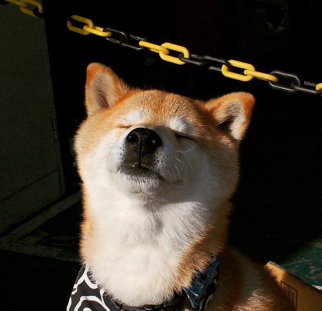 深圳领航队重视第二阵容轮换提升整体深度,深圳领航者比赛记录